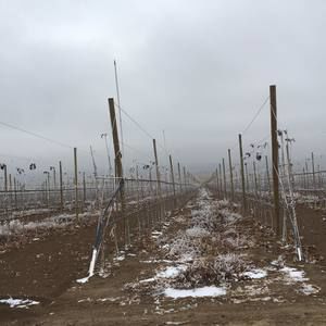 Meet your Posher, Ana elvia